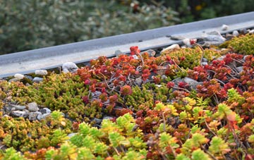 the cost of Bedworth Heath green roof installation