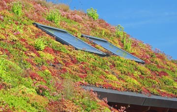 Bedworth Heath living roof systems